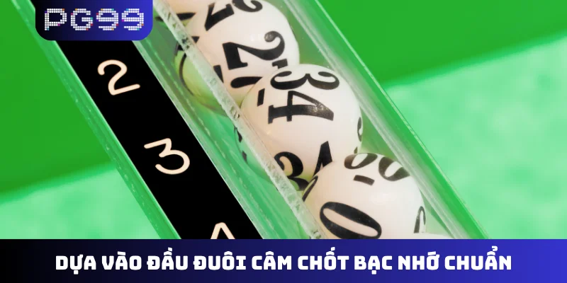 Dựa vào đầu đuôi câm chốt bạc nhớ chuẩn