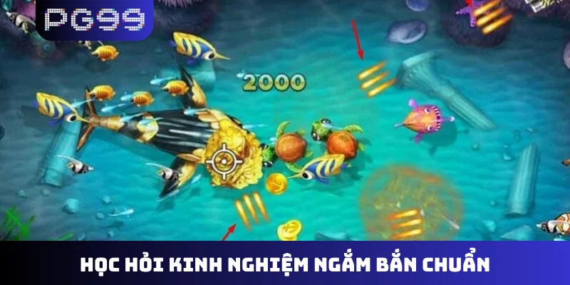 Học hỏi kinh nghiệm ngắm bắn chuẩn