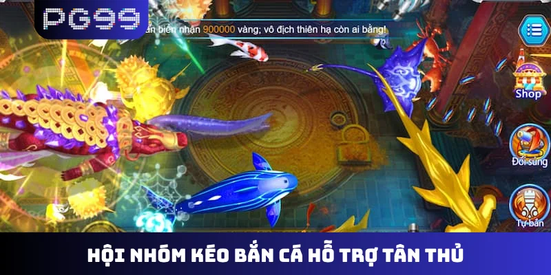 Hội nhóm kéo bắn cá hỗ trợ tân thủ